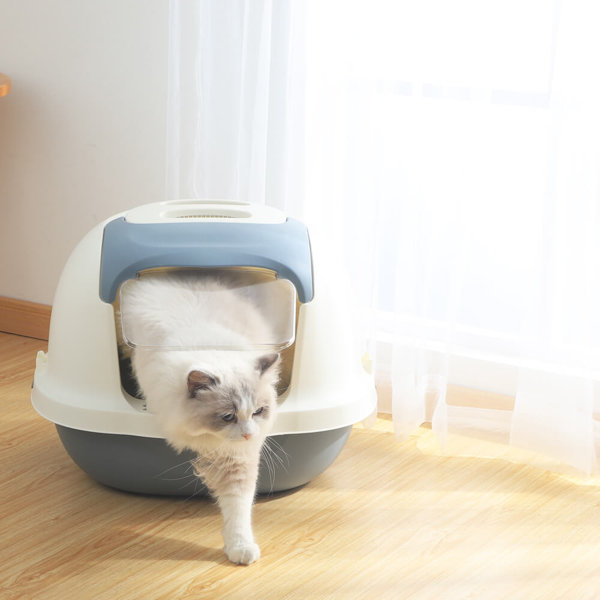 Archie & Oscar Muller Standard Litter Box & Reviews Wayfair.co.uk